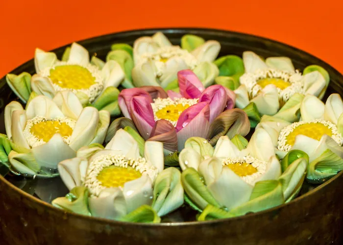 The Grand Cyclo Boutique & Hotel 5*